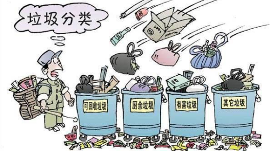 垃圾分类：厘清责任做除法|更大成效靠乘法