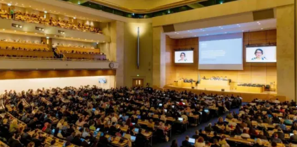 中国物资再生协会参加塑料污染政府间谈判委员会第五次会议续会