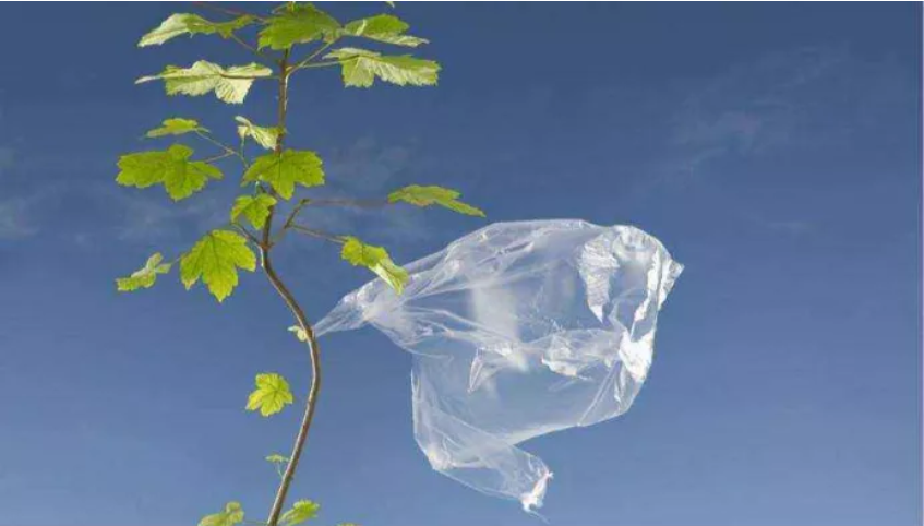 高质量发展呼唤塑料污染治理能力现代化