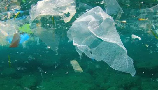 研究发现欧洲的塑料回收被倾倒在亚洲水域
